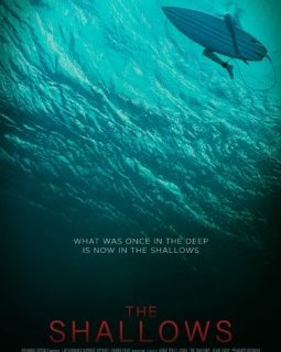 The Shallows (Instinct de survie) : Blake Lively est la proie d'un énorme requin blanc dans la bande-annonce