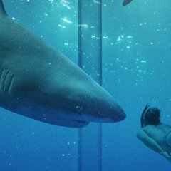 spip-bandeau spip-bandeau