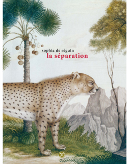 La Séparation - La critique du livre