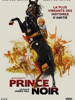 Prince noir - la critique du film + le test DVD