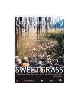 Sweetgrass - coup d'oeil