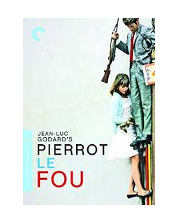 Mort de l'actrice et chanteuse Anna Karina