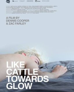 Entretien avec Dennis Cooper et Zac Farley, réalisateurs de "Like Cattle Towards Glow"