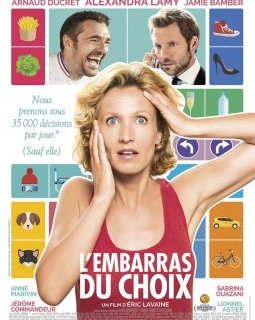 L'embarras du choix - la critique du film