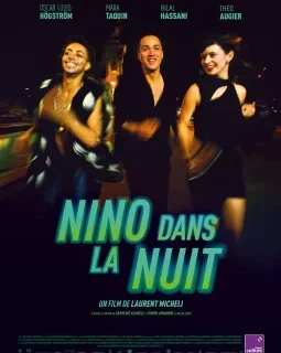 Nino dans la nuit - Laurent Micheli - Fiche film