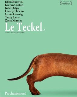 Le Teckel : bande-annonce sardonique du nouveau Todd Solontz
