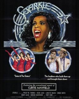 Sparkle : pas de Whitney Houston en salle en France