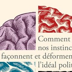 L'impossible démocratie - Pascal Boyer - critique du livre
