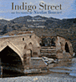 Indigo Street - Sur les routes de Nicolas Bouvier