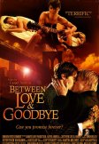 Between love and goodbye - Fiche film