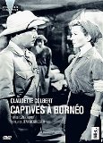 Captives à Bornéo - la critique + le test DVD
