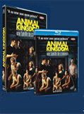 Animal Kingdom, enfin en DVD !