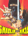 Shaolin contre ninja - la critique + test DVD