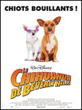 Le chihuahua de Beverly Hills - Les photos