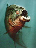 Piranha 3D - Alexandre Aja passe à la 3D