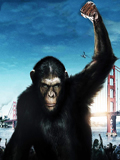 Box-office France du 17/08/2011 : La planète des singes 4e démarrage de l'année