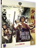 Les 5 maîtres de Shaolin - la critique