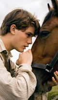 War horse - le nouveau Spielberg pour 2012