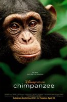Chimpanzés - la bande-annonce du nouveau Disney Nature