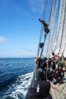 Pavillon noir - la critique du spectacle