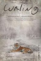 Curling - la critique + le test DVD