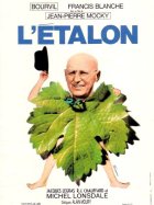 L'étalon - Jean-Pierre Mocky - critique