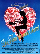 La fleur de mon secret - Pedro Almodóvar - critique