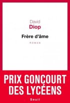 Frère d'âme de David Diop – La critique du roman 