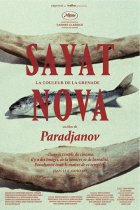 Sayat Nova - Sergei Paradjanov - critique