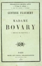 Madame Bovary - la critique du livre
