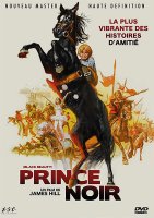 Prince noir - la critique du film + le test DVD