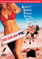 Mexican pie