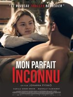 Mon parfait inconnu - Johanna Pyykkö - critique