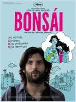 Bonsái - coup d'oeil