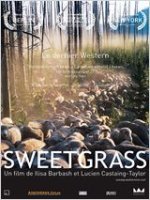 Sweetgrass - coup d'oeil