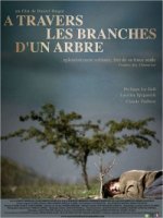 A travers les branches d'un arbre - la bande-annonce