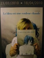 Quand Julie Maroh s'explique sur son blog BD, c'est masterclass !