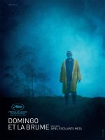 Domingo et la brume - Ariel Escalante Meza - critique