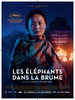 Les éléphants dans la brume - Abinash Bikram Shah - critique