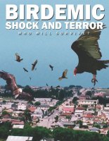 Birdemic : Shock and Terror - la critique du film