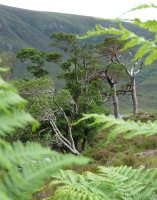 Hommage à Frédéric de Vençay : tu vas nous manquer 