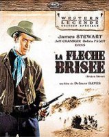 La flèche brisée - la critique + le test Blu-ray