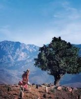 Report de l'exposition consacrée à Abbas Kiarostami