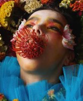 Björk ouvre le portail des merveilles avec le clip de The Gate