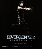 Shailene Woodley : chez Oliver Stone après Divergente 2 ?