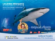 One Piece débarque à Paris