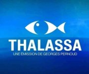 Georges Pernoud, un homme qui aimait la mer