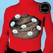 The Wombats : Cheetah Tongue, nouveau clip dingue avant l'album 
