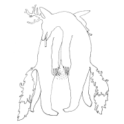 Les découvertes aVoir-aLire : Mr Loup, rencontre virtuelle avec Morphée 