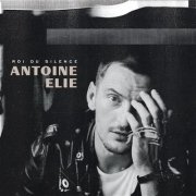 Antoine Elie : un dernier single avant l'album ?